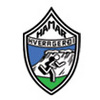 哈马尔女篮 logo