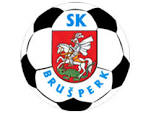 SK布鲁塞克 logo